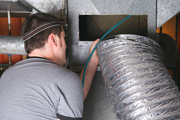 Best Air Duct Mold Removal  in Morgantown, WV