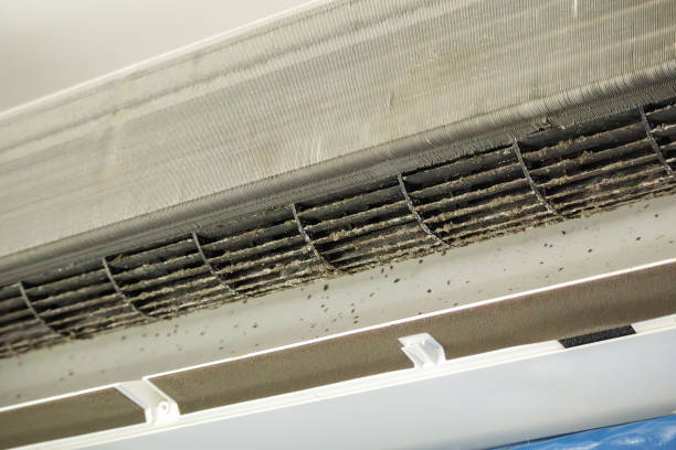 Best Professional Duct Cleaning Services  in Morgantown, WV